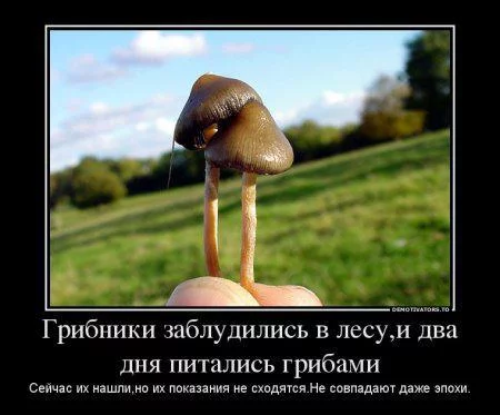 63228.webp