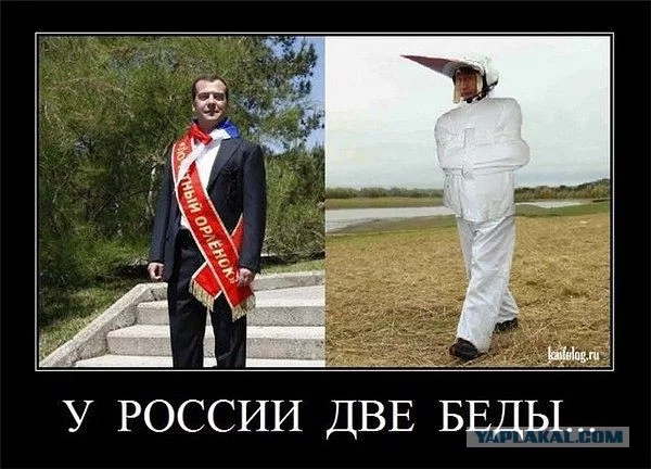 6323700.webp