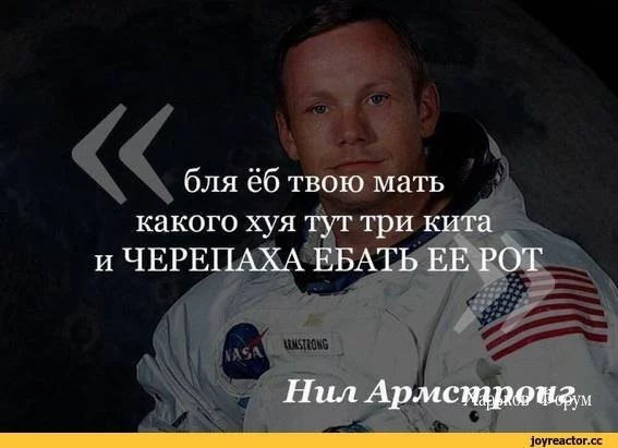 63238b465d378f8847.webp