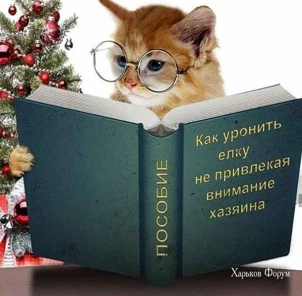 6326f294d420265cffb.webp