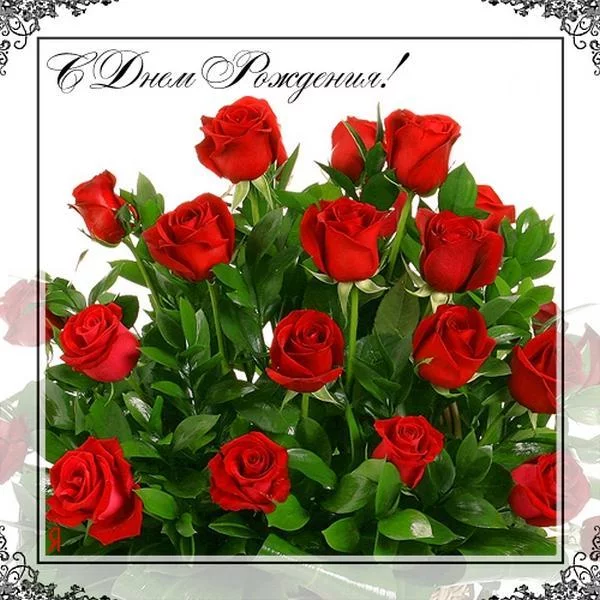 633291.webp