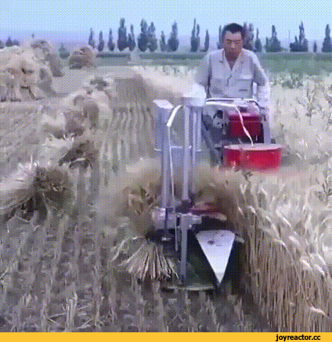 633fd3e24e6b1757a50b.gif