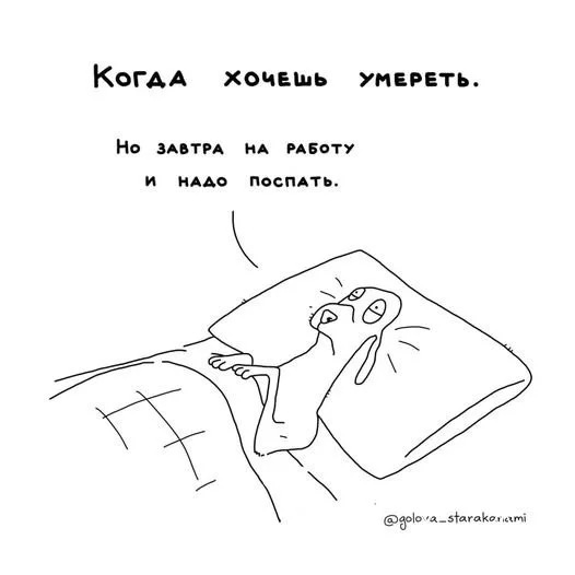 6343b346daf00f170f86be.webp