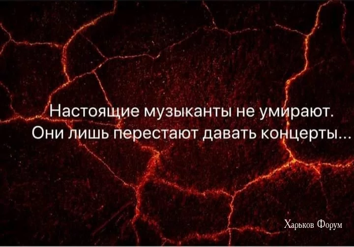 634f2a0cb5ff1f91343936a.webp