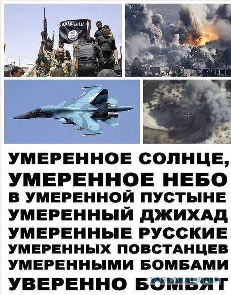6356733.webp