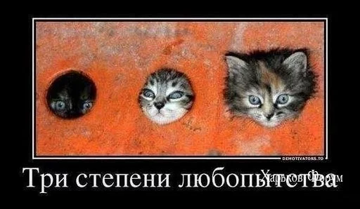 6374ac15e6a52eeefe46f.webp