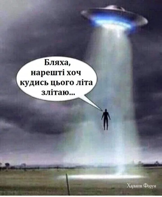 638636550c8ecc97c738fccf.webp