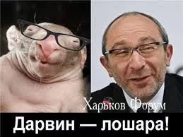 638951133c82b65f76.webp