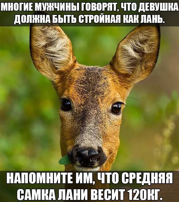 639816703.webp