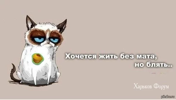 63b4bea62a4da9c450a.webp