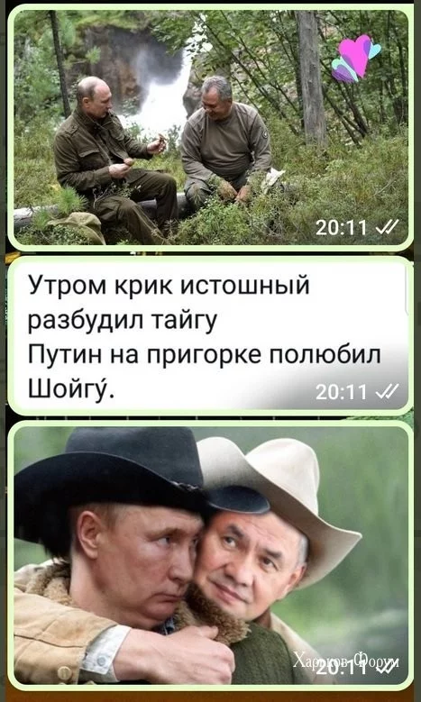 63ba41310e3ef230e.webp