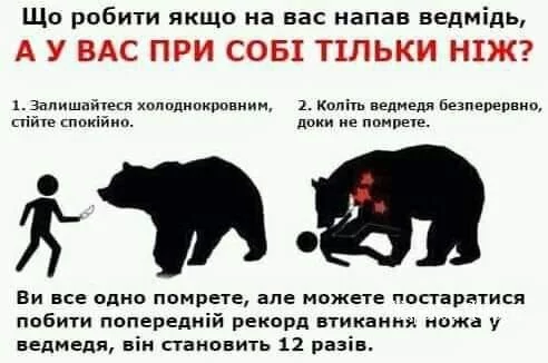 63c721dc532880c9c14d.webp