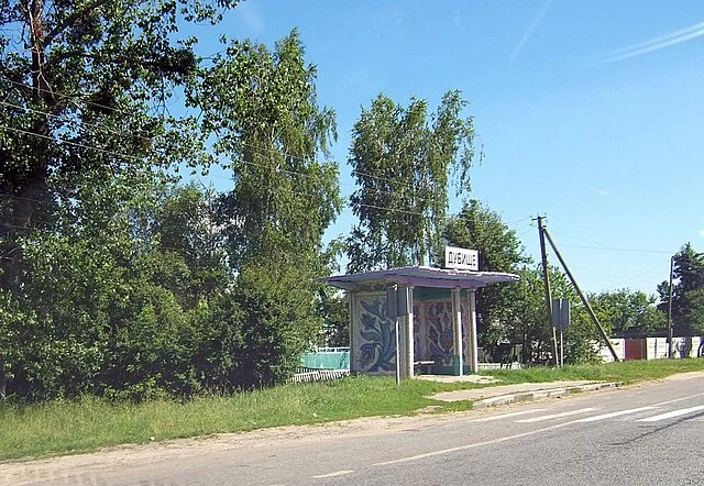640px-Dubyshche_Chudniv_Raion.webp