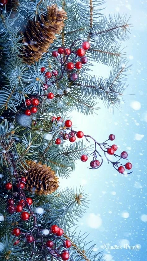 6410aa04d35358846a.webp