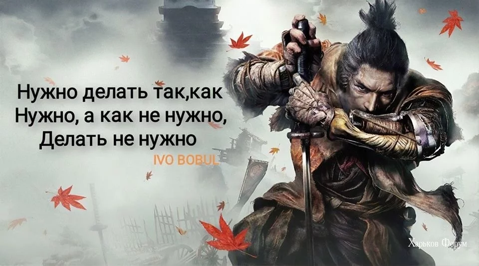 641af4b4b74ab3a5a621.webp
