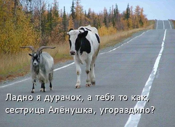 64337752_1285144034_bbb.webp