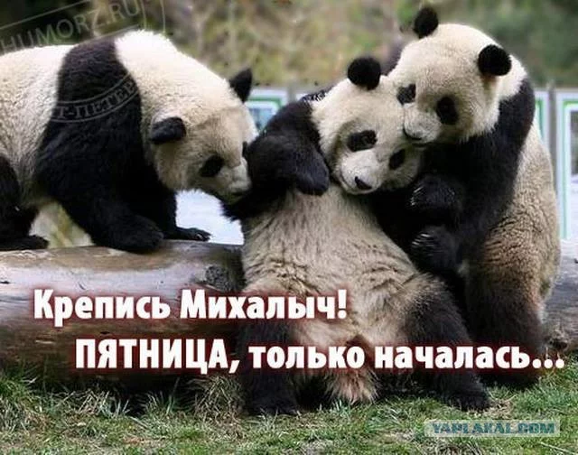 6437436.webp