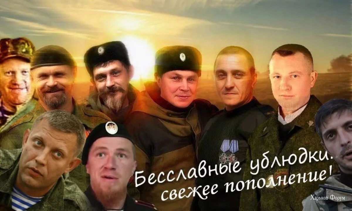 643ffcca60cca2303b17a.webp