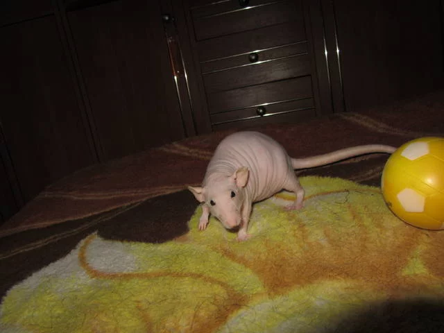 6441700_m.webp