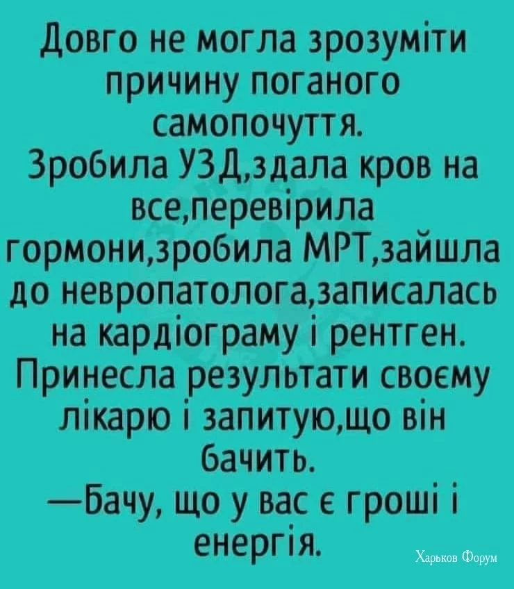 644387152dcee0d1525ce2.webp
