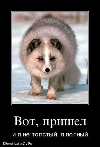 64438974.webp