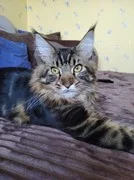644756b00f4e1435.webp