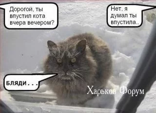 64496cab33c956e41e1d11c.webp