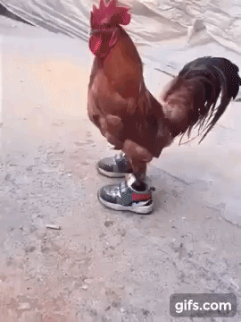 6453dddd558baa2b27d780.gif