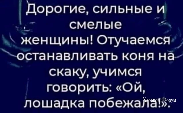 64617139305df18e84103650.webp