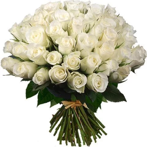 64624785_61187983_x_1ea5b674.webp