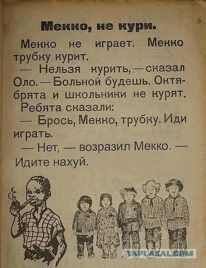 6462540.webp