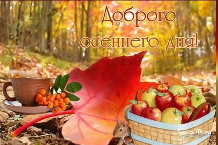 6462cf697227818f9e9a8d8a.webp
