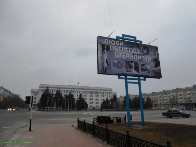646839_800.webp