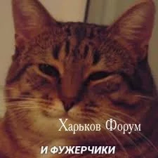 6469d5a7e74172880788.webp