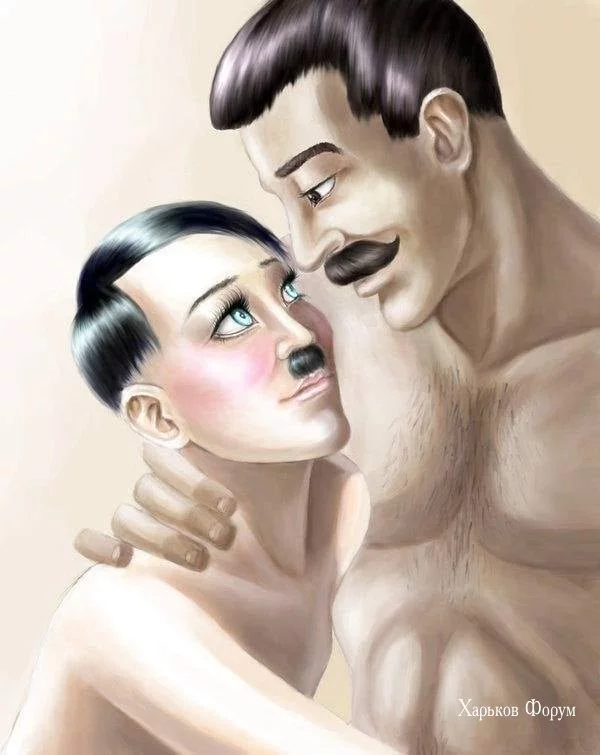647d710d790c5fbed97d09.webp