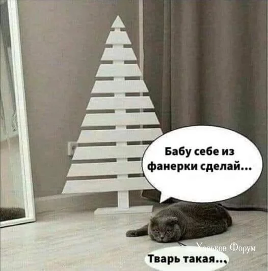 6482958dda6134b3.webp