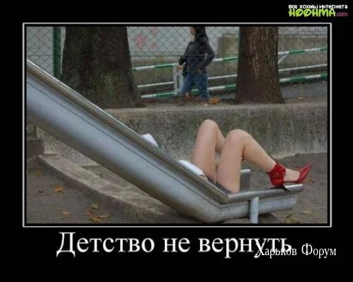 64833ec5d9f36195b1.webp