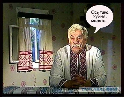 6485629.webp