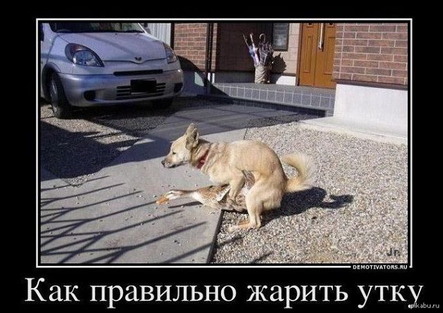 648b9982592b9da5f9d88db17723f5c2.jpg