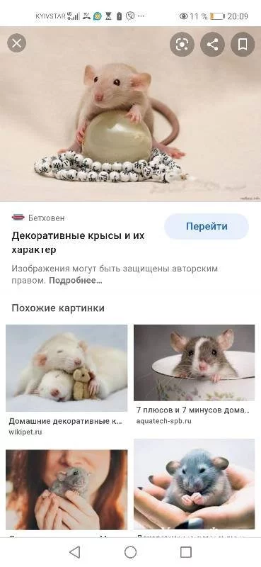 648c953b606dd33d53bffe.webp
