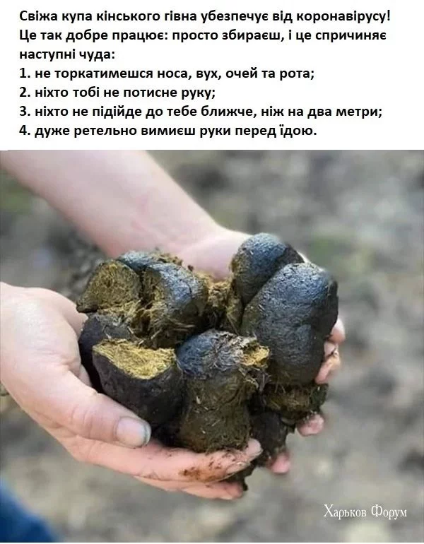 648ede8c4f2140a3f08bc23.webp
