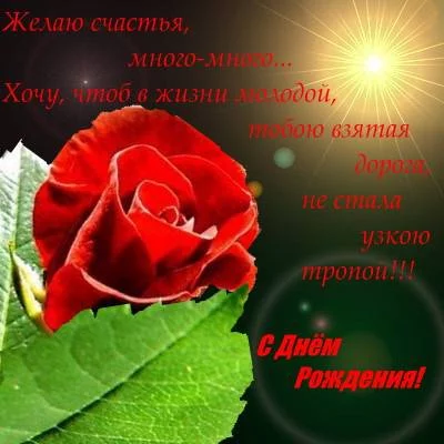 64913967.webp