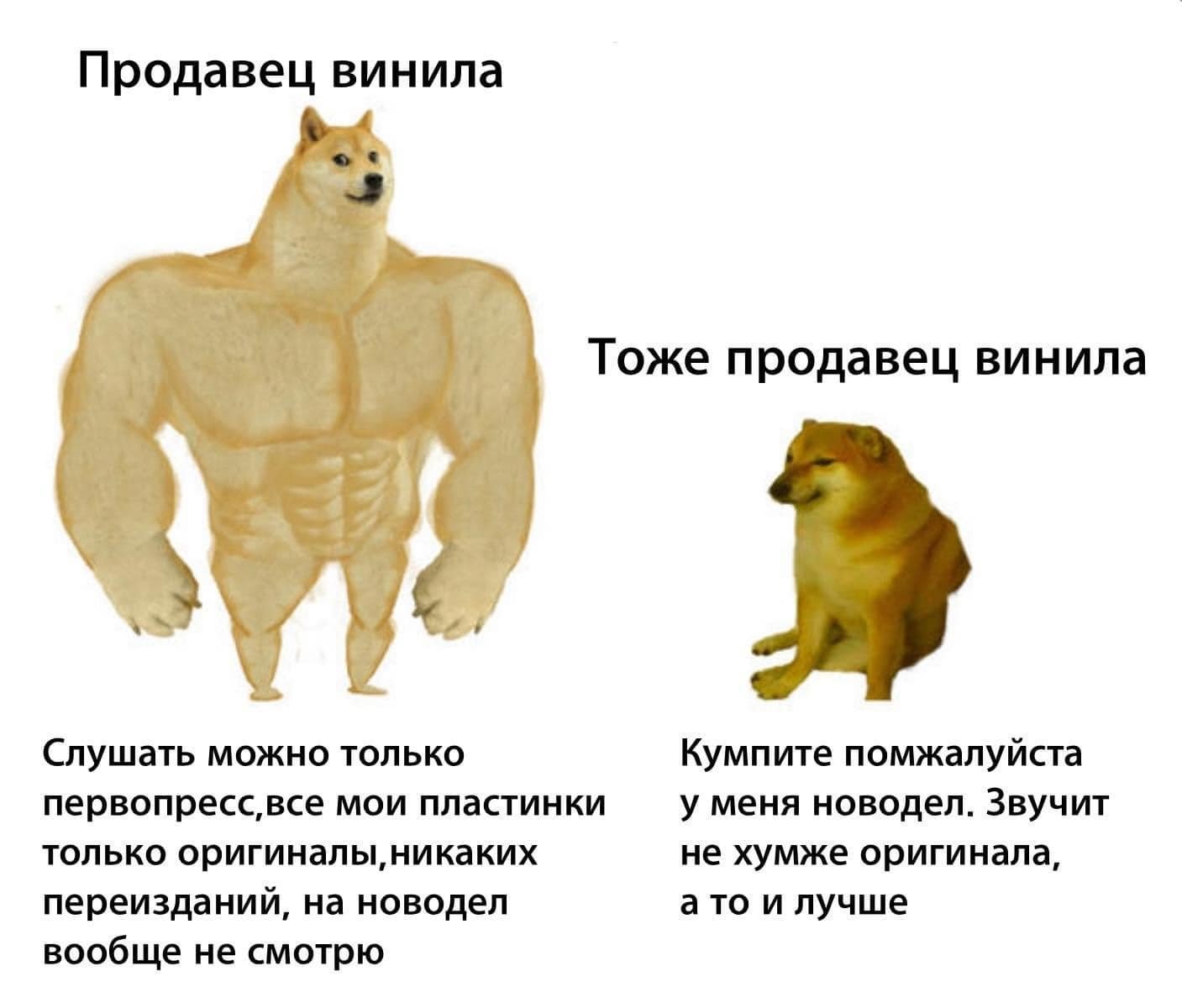 64a56c78428cfdfe8c18.jpg