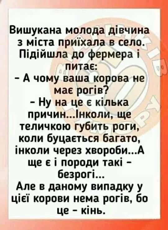 64cddd9e668d454cda8.webp
