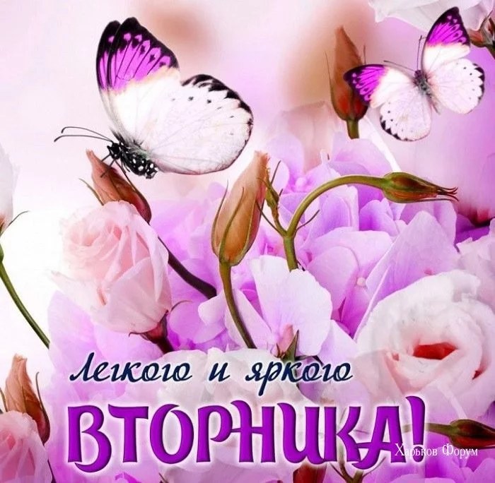 64df62eba6df702ce03.webp