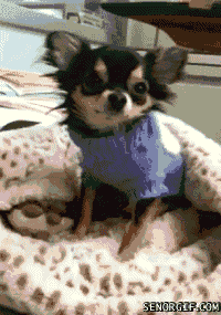 64ec853c0844116bb4434535dd9cdae4.gif