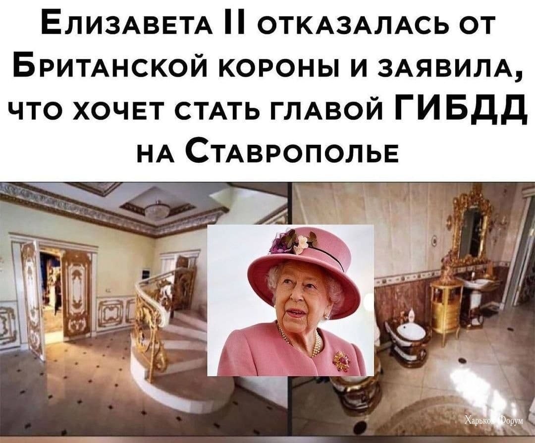 64f5a16504a5d78a6f9.jpg