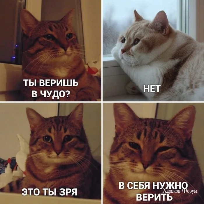 64fa5935f0602c063.webp