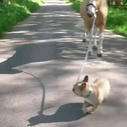 64fcdba94bc0d0b14e596.gif