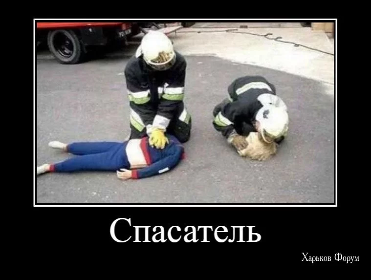 651258d684257d912883a7.webp